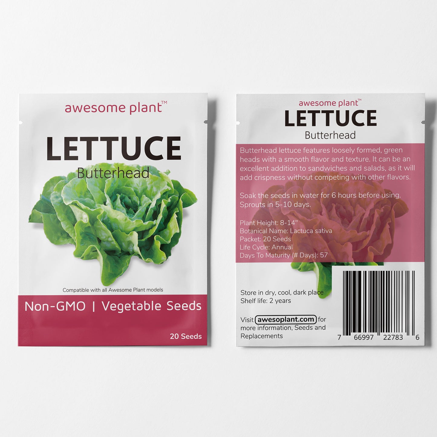 Lettuce Butterhead (20 Seeds) Crisp, clean salad green