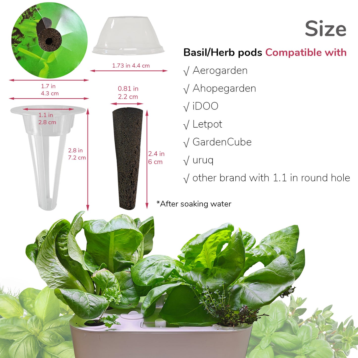 20 Pack Basil & Herbs Seed Pod Kit