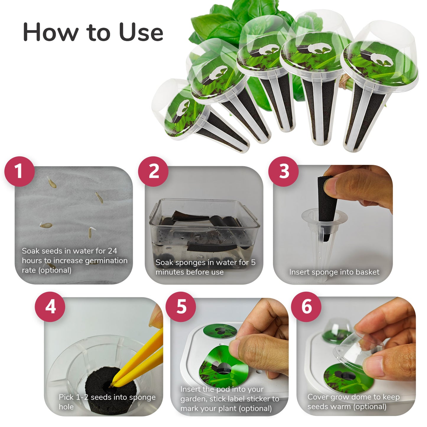 20 Pack Basil & Herbs Seed Pod Kit