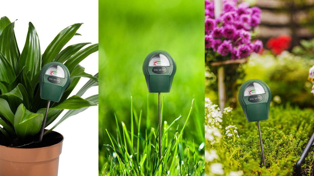 How to use a soil moisture meter to avoid over or under-watering issues