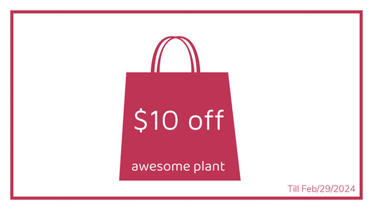 $10 off on order over $50, be a new planter