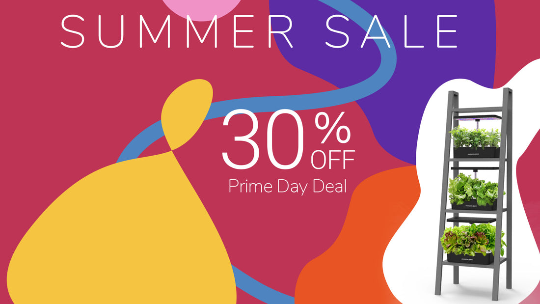 Prime Deal 30% off on selected items