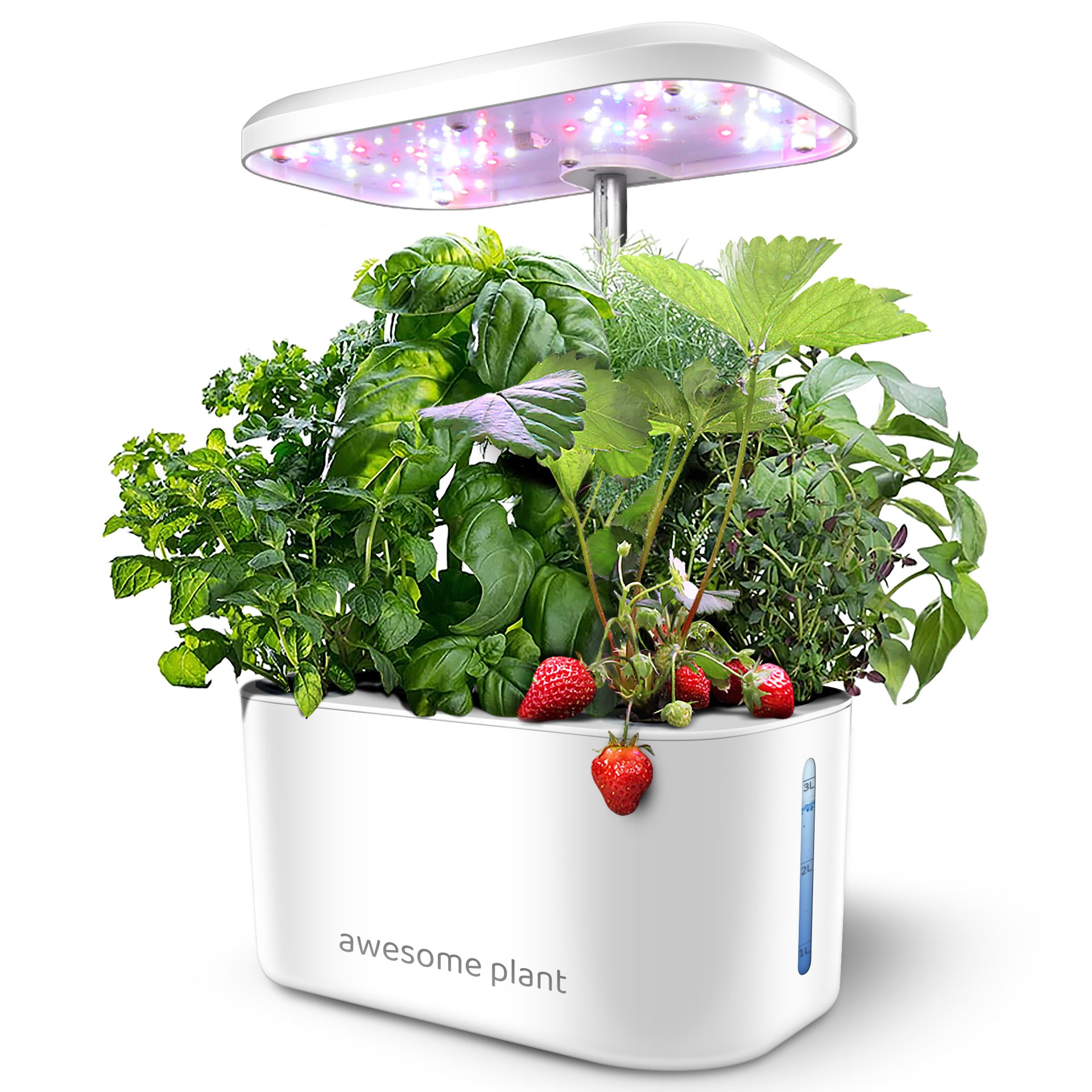 hydroponic indoor plants Awesome Plant 6Pro Indoor Hydroponic Garden