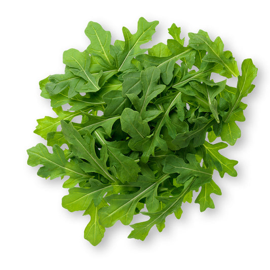 Arugula (20 Seeds) Peppery-mustard-flavored salad green for fine cuisine