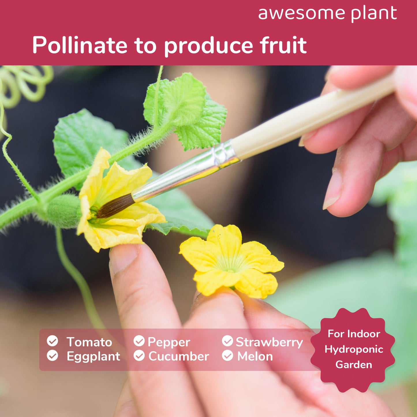 Awesome Plant Pollination Brush (12 Pack) for Indoor Hydroponic Gardens