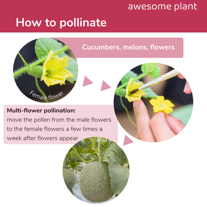 Awesome Plant Pollination Brush (12 Pack) for Indoor Hydroponic Gardens