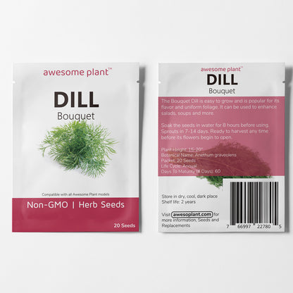 Dill (20 Seeds) Tangy aroma herb for many cooking recipes