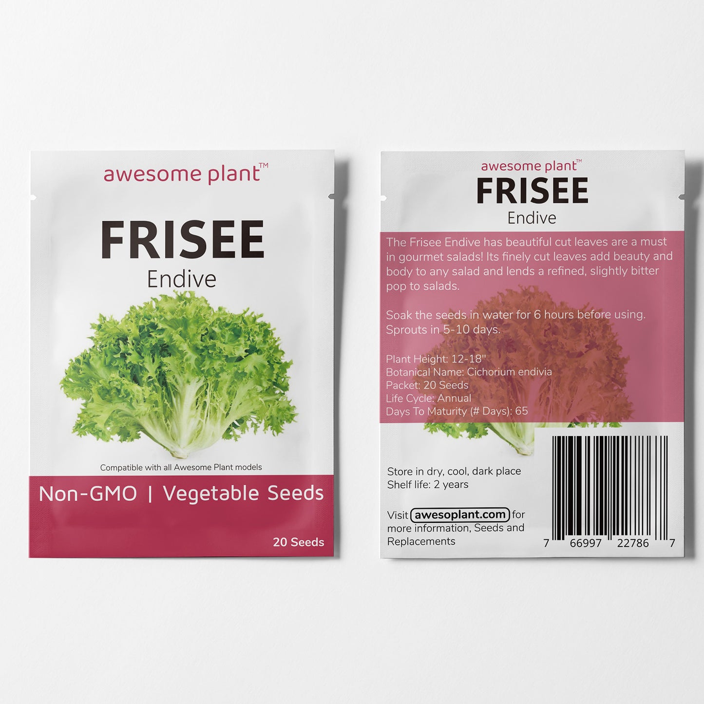 Frisee (20 Seeds) Finely cut leaves and slightly bitter for salad