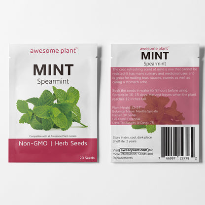 Mint (20 Seeds) Cool refreshing scent herb for many recipes and tea