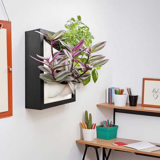 Awesome Plant Wall Garden 4 Indoor Living Plant Garden