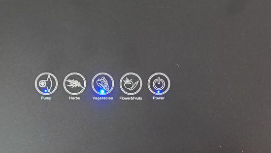 when the pump is off, turn on auto pump by touching the pump button once. The blue indicator will keep on when it is auto-on