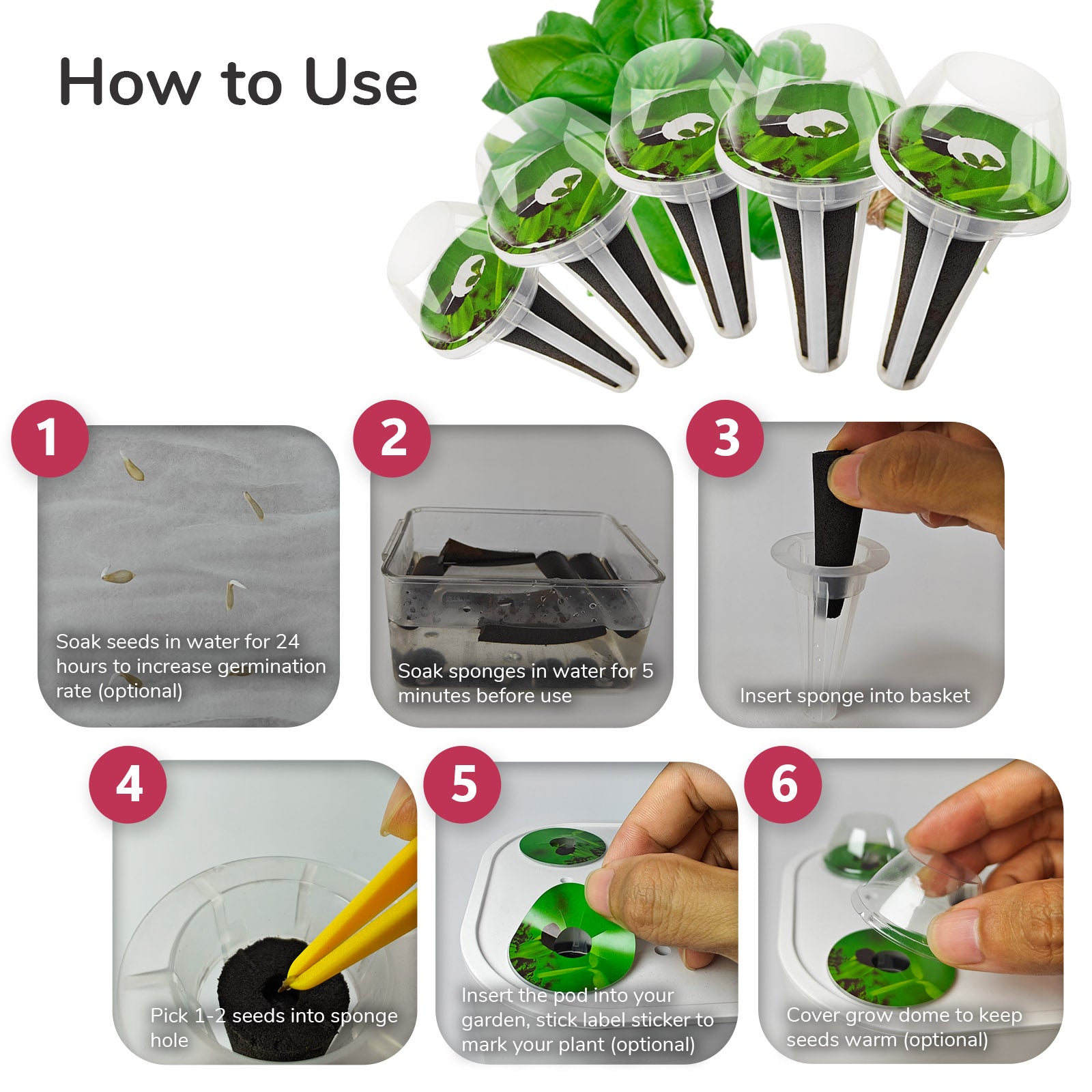 seed planting pods 20 Pack Basil & Herbs Seed Pod Kit