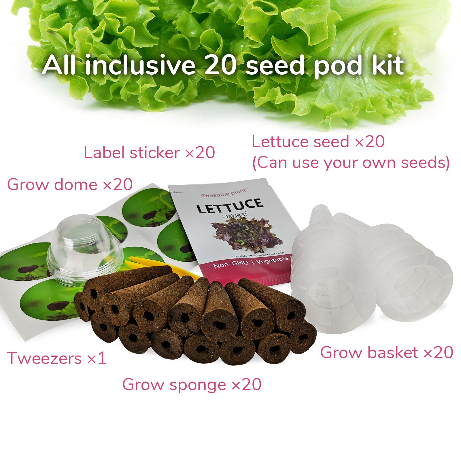 plant salad seeds 20 Pack Lettuce Seed Pod Kit – Awesome Plant