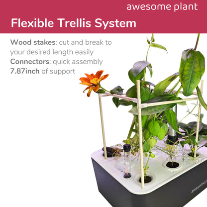 Awesome Plant Trellis System (20 PCS) Plant Support Stakes Kit